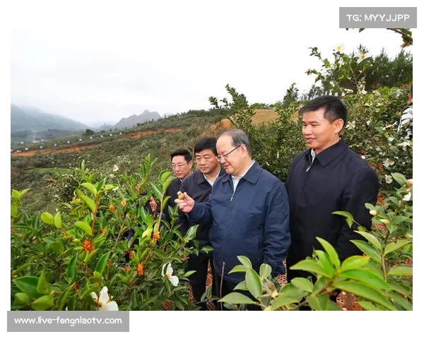广西队联名食用油品牌推动健康饮食理念打造6亿元市场新机遇